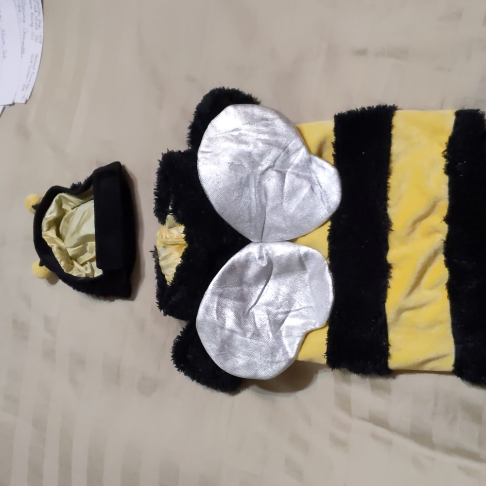 Small pet Bumble Bee Halloween costume